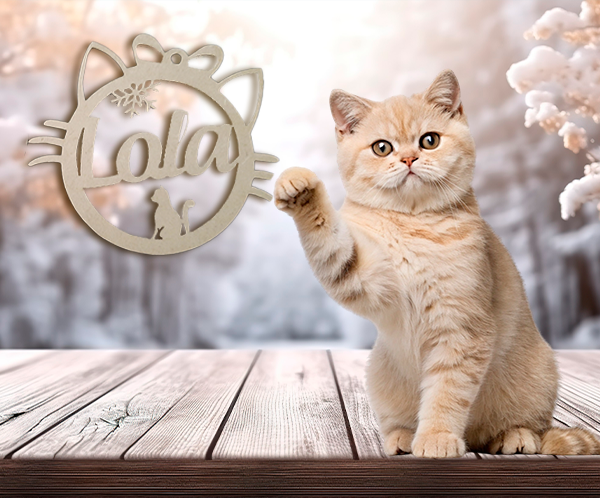 Bola Navidad Mascotas